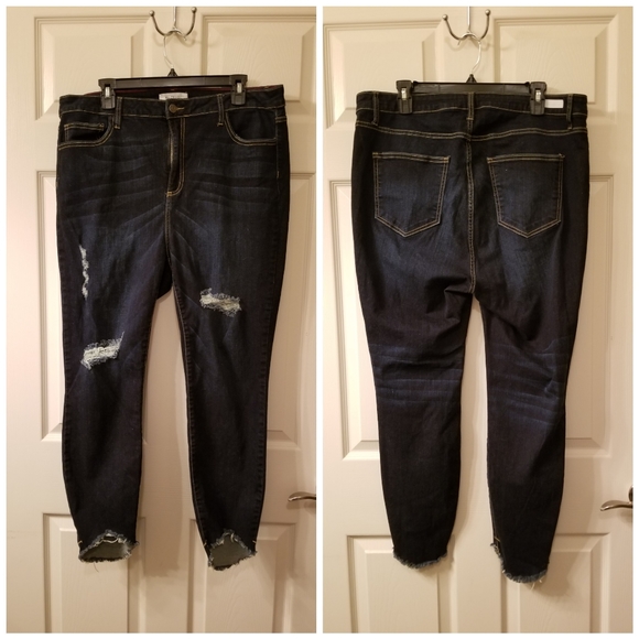 ms cello jeans plus size